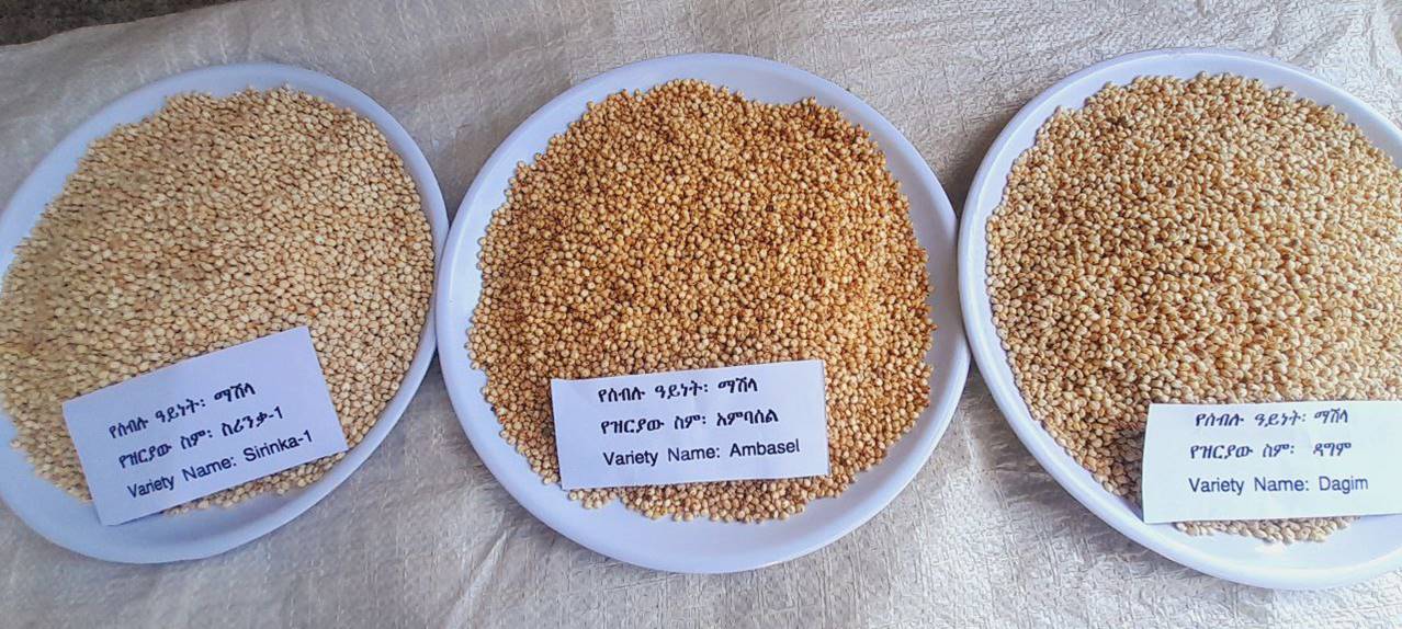 ARARI released 9 new crop varieties