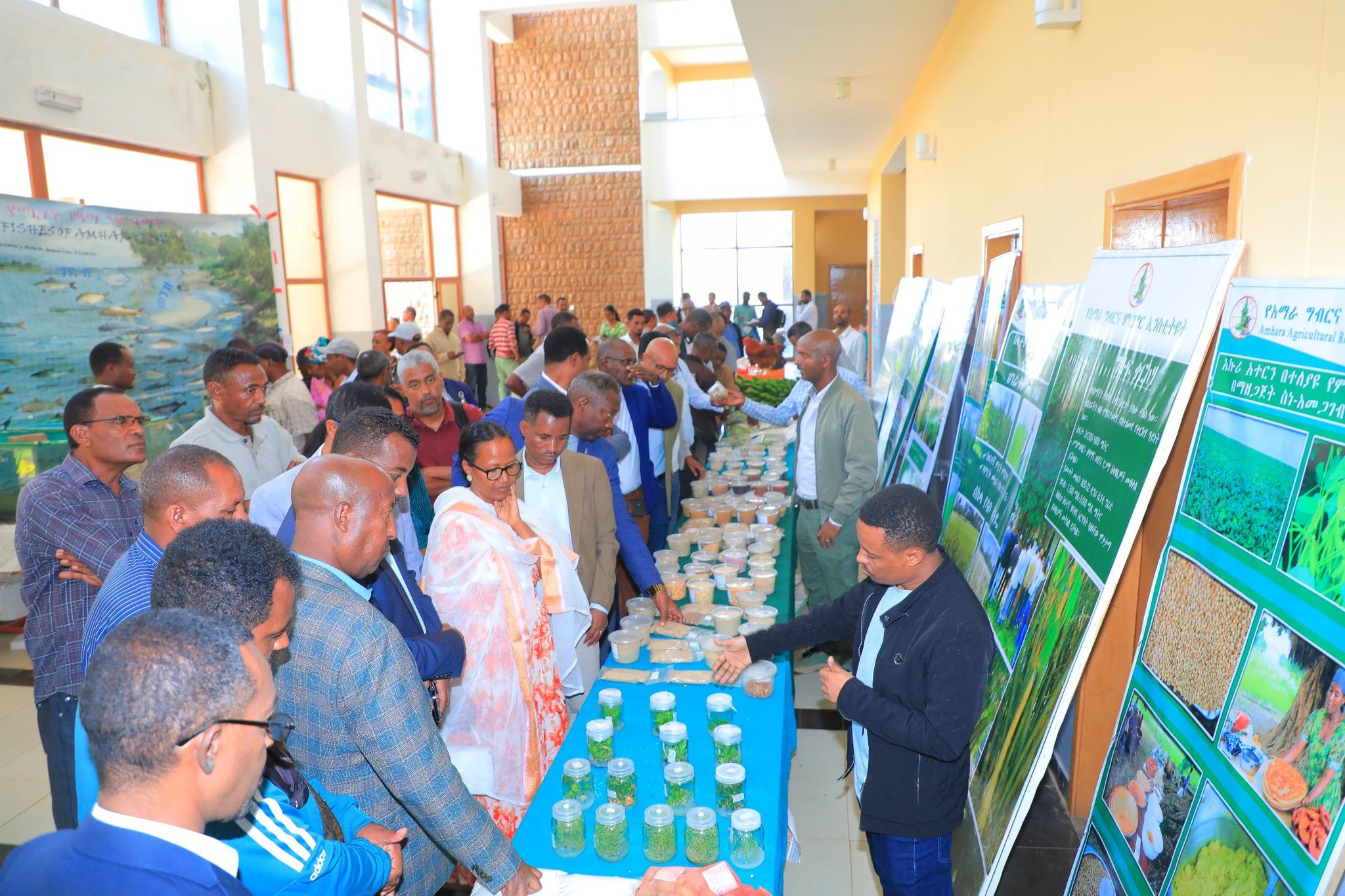 The Amhara Agricultural Research Institute presented an exhibition showcasing research results at the 12th Amhara Regional Agricultural Development Stakeholder Liaison Advisory Council meeting.