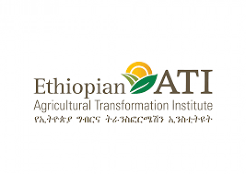 Agricultural Transformation Institute
